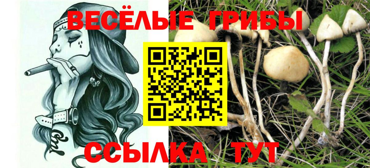 КОКАИН  Кашира  Вход с VPN  Мефедрон  Мефедрон   ГАШ 