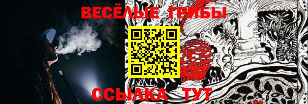 Галлюциногенные грибы Psilocybe Кашира